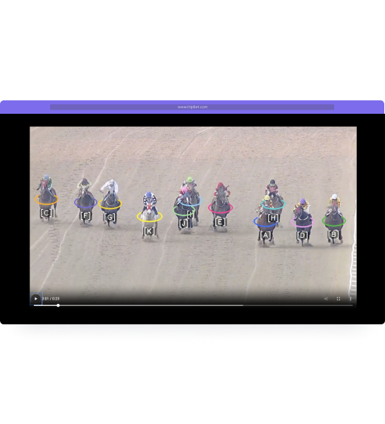 Review scene selection