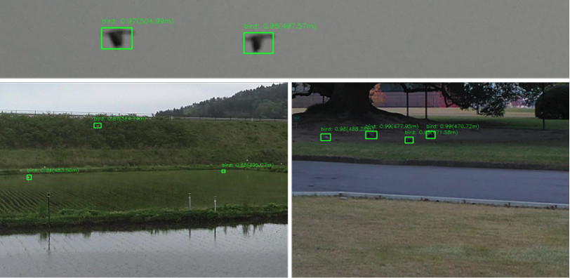Seoul City & Air Force Partner with Triplet on AI Bird Strike Prevention Solution