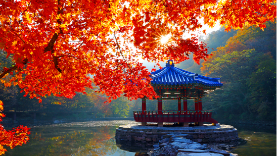 The visitor numbers in grant applications and...